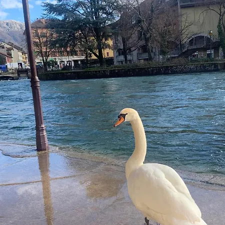 La Petite Venise Des Alpes, Ultra Centre 1 A 5 Pers Apartment *